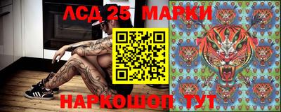 шишки Кунгур