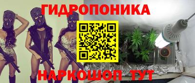 прущие крисы Кулебаки