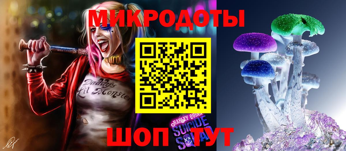 Кингисепп  Галлюциногенные грибы MAGIC MUSHROOMS  Вход с VPN  Галлюциногенные грибы ЛСД 
